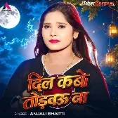 Dil Kabo Todbau Na